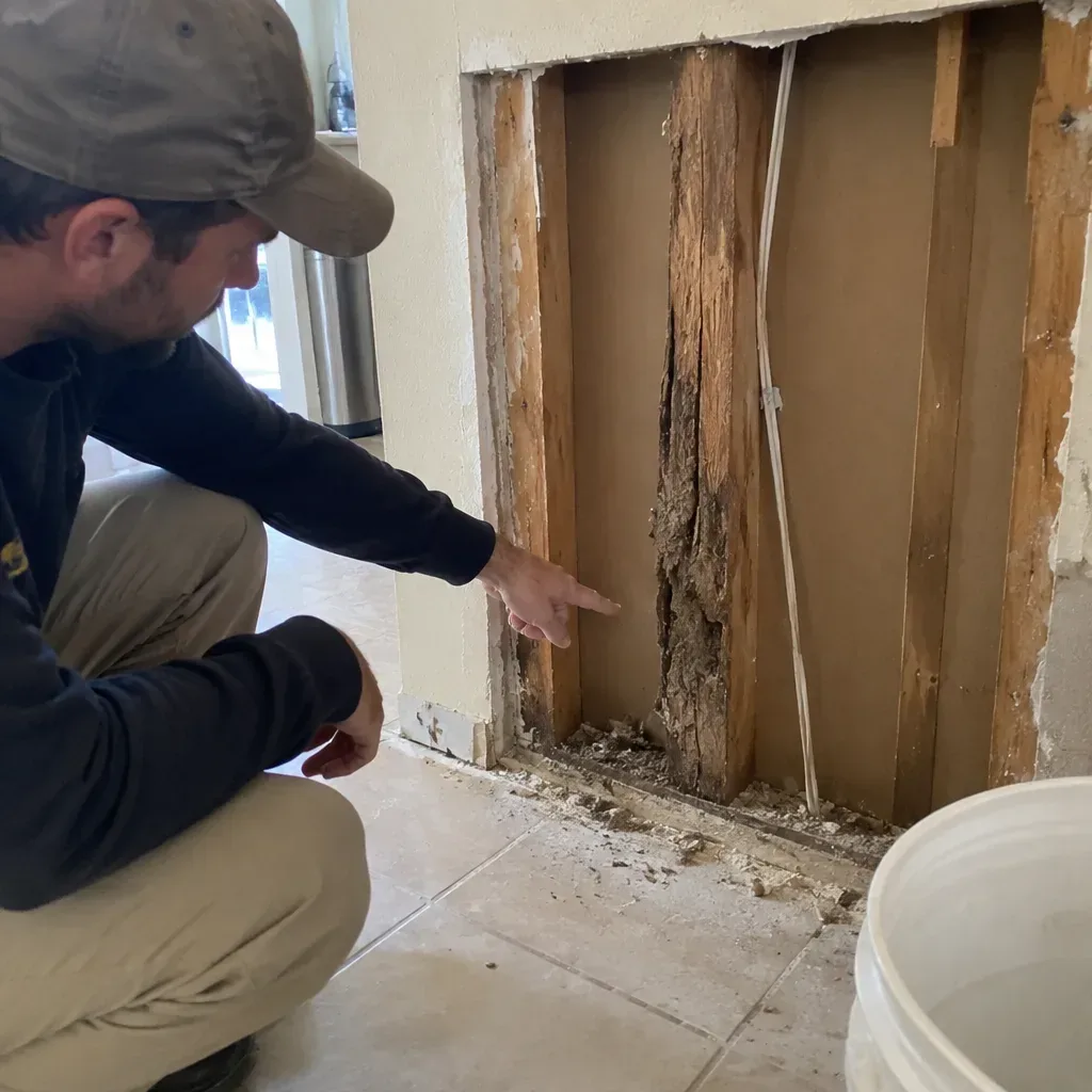 Termite Inspection service in Rio Rancho, NM